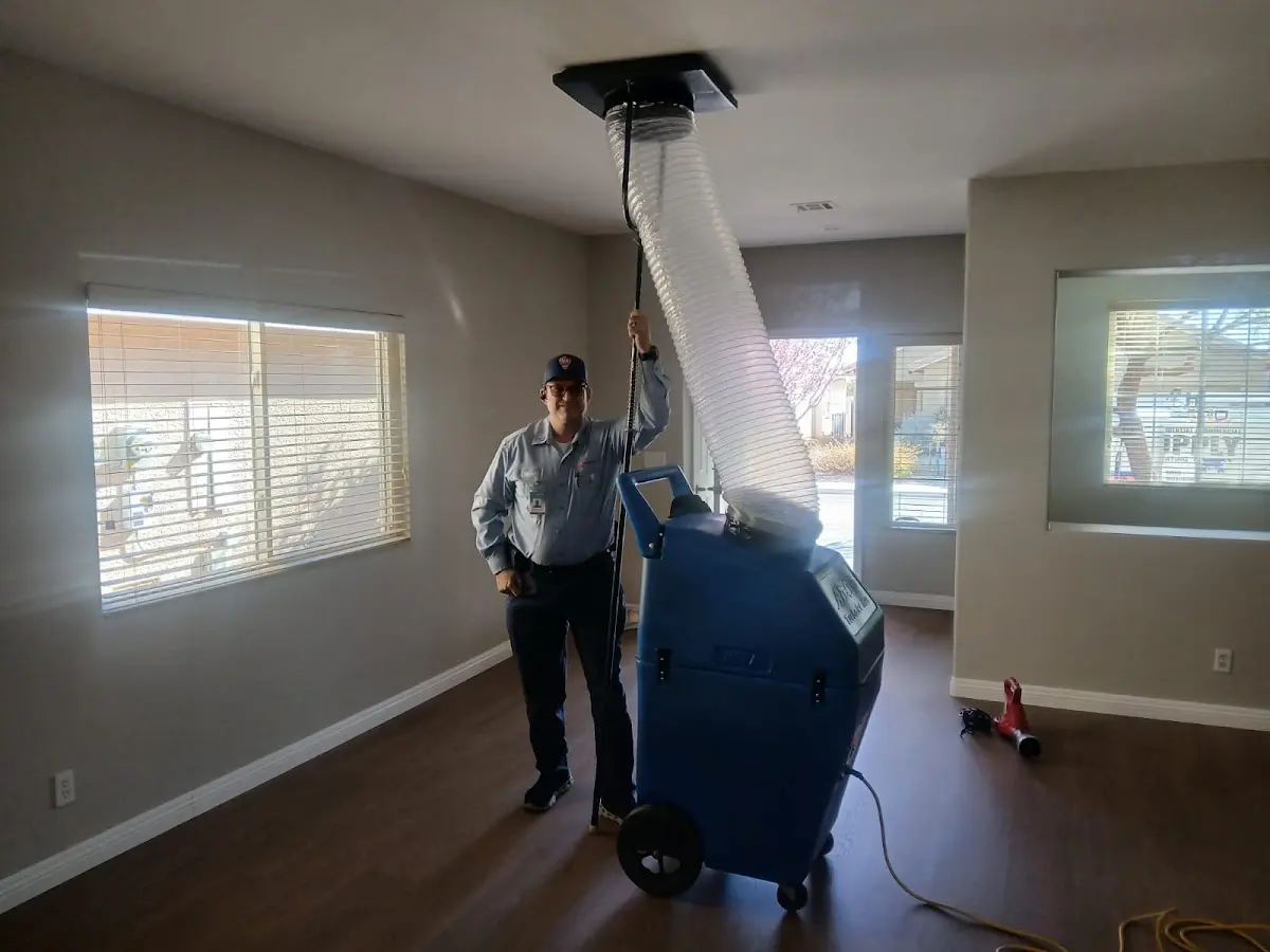 Professional Dryer Vent Cleaning work inside a Deptford home